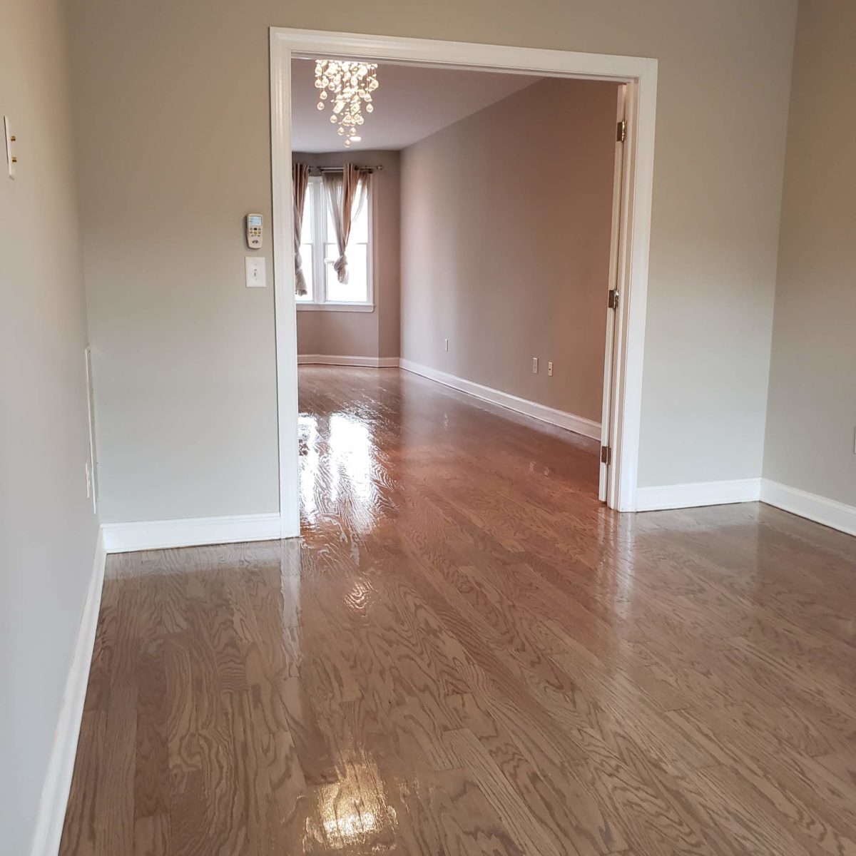 Refinishing Hardwood Floors With Pet Stains Options for Fixing