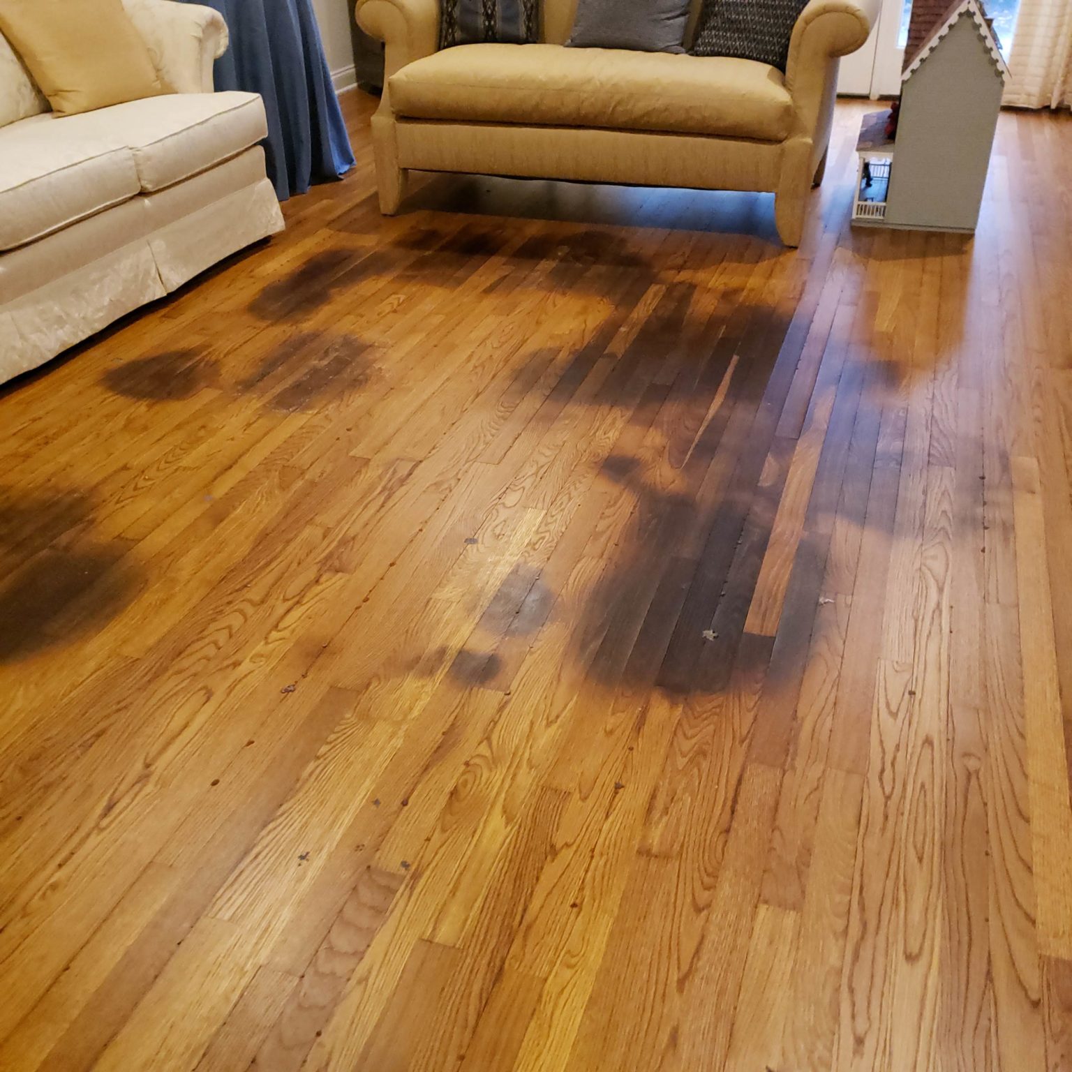 Refinishing Hardwood Floors With Pet Stains - Options for Fixing