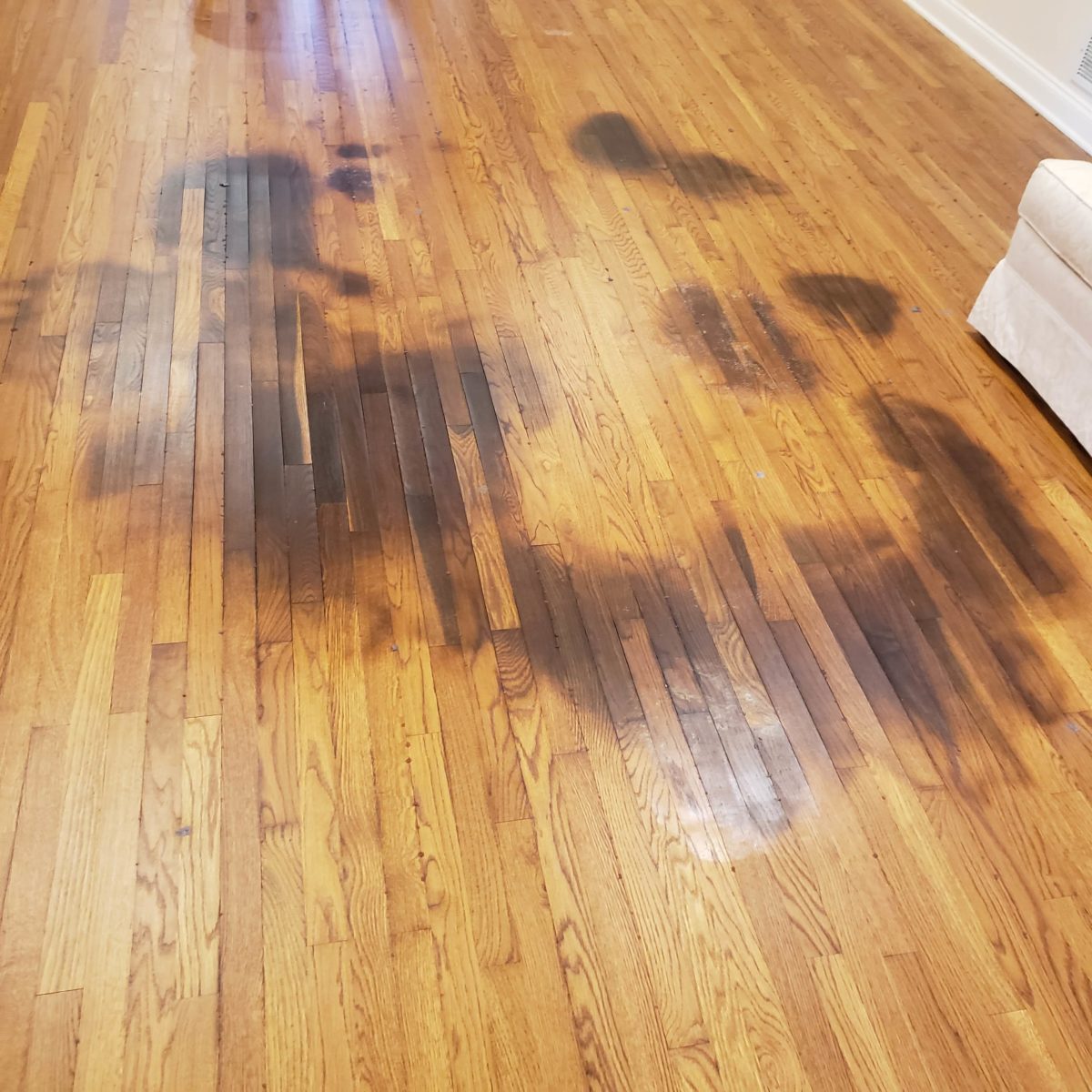 Refinishing Hardwood Floors With Pet Stains Hardwood Floor