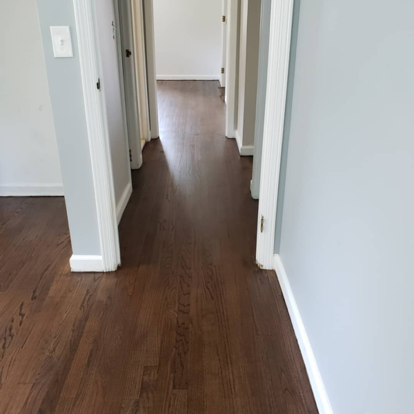 Refinishing Hardwood Floors With Pet Stains Options for Fixing