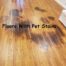 Refinishing-Hardwood-Floors-With-Pet-Stains-12-