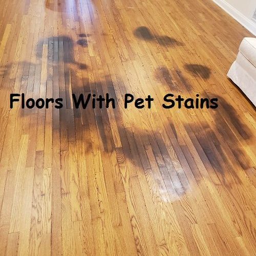 Best dog urine remover for hardwood floors best sale